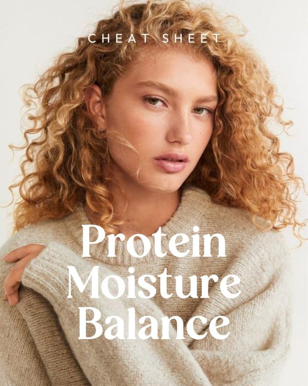 protein moisture balance cheat sheet by curl maven