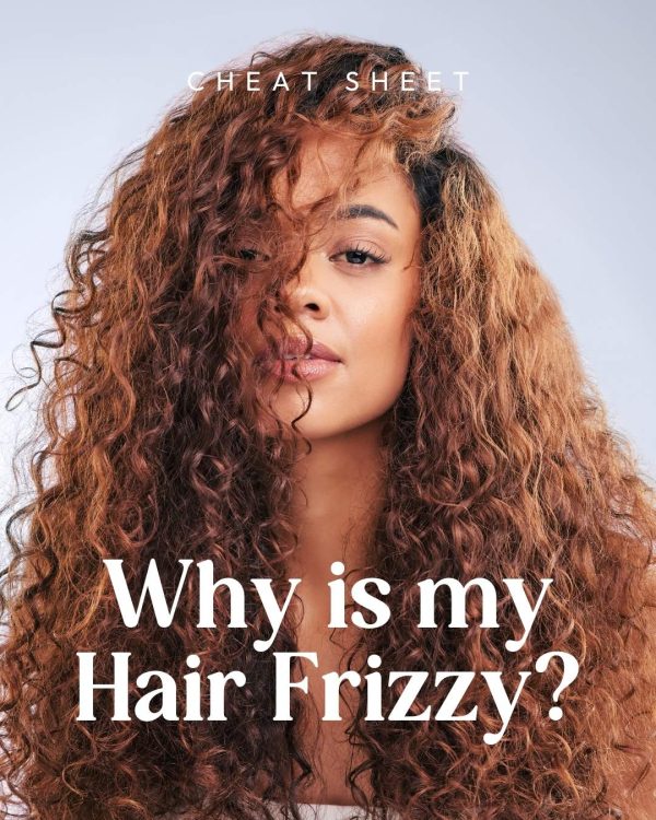 why is my hair frizzy cheat sheet by curl maven